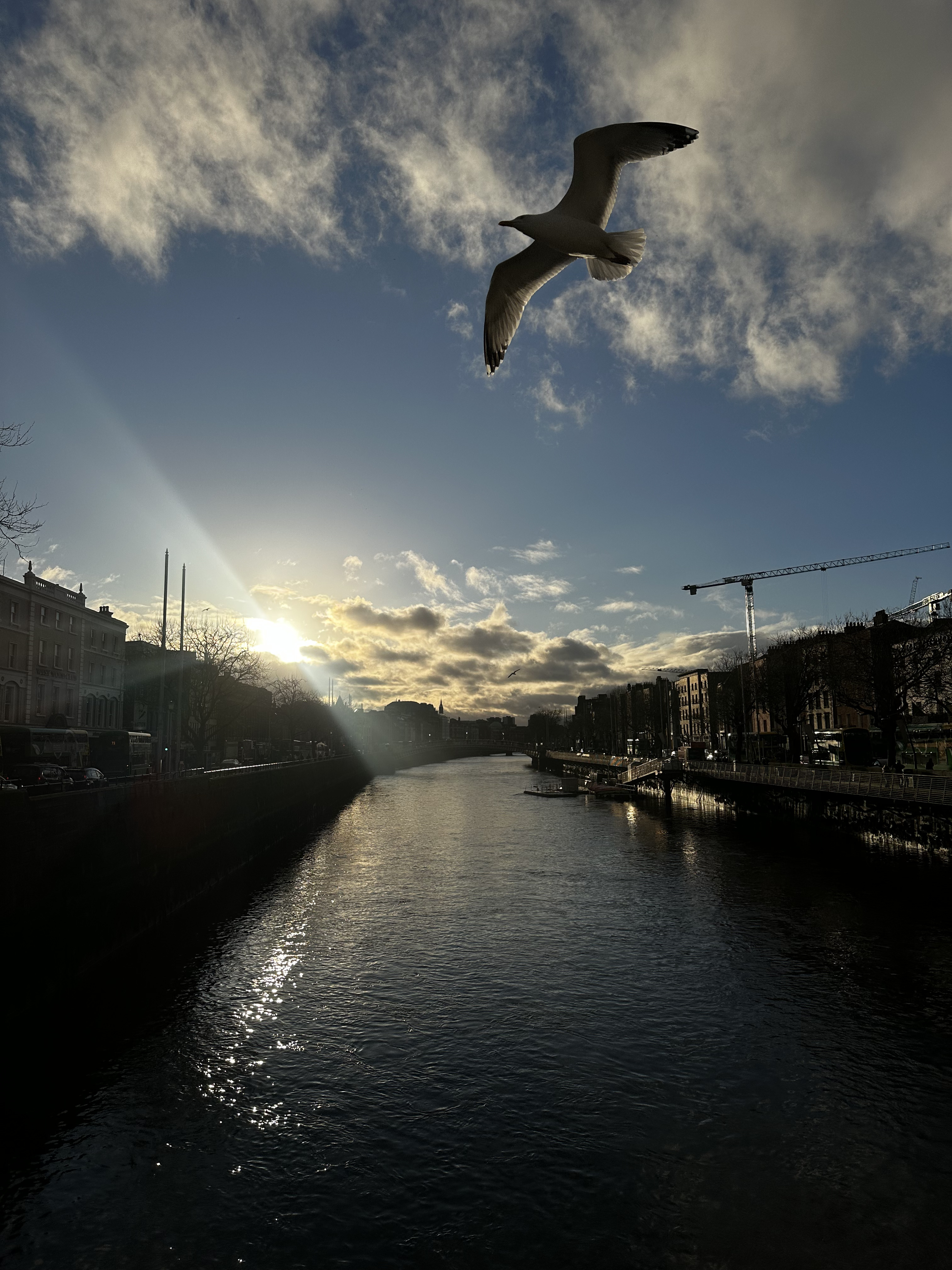 The Liffey. Sunrise. Right place, right second.