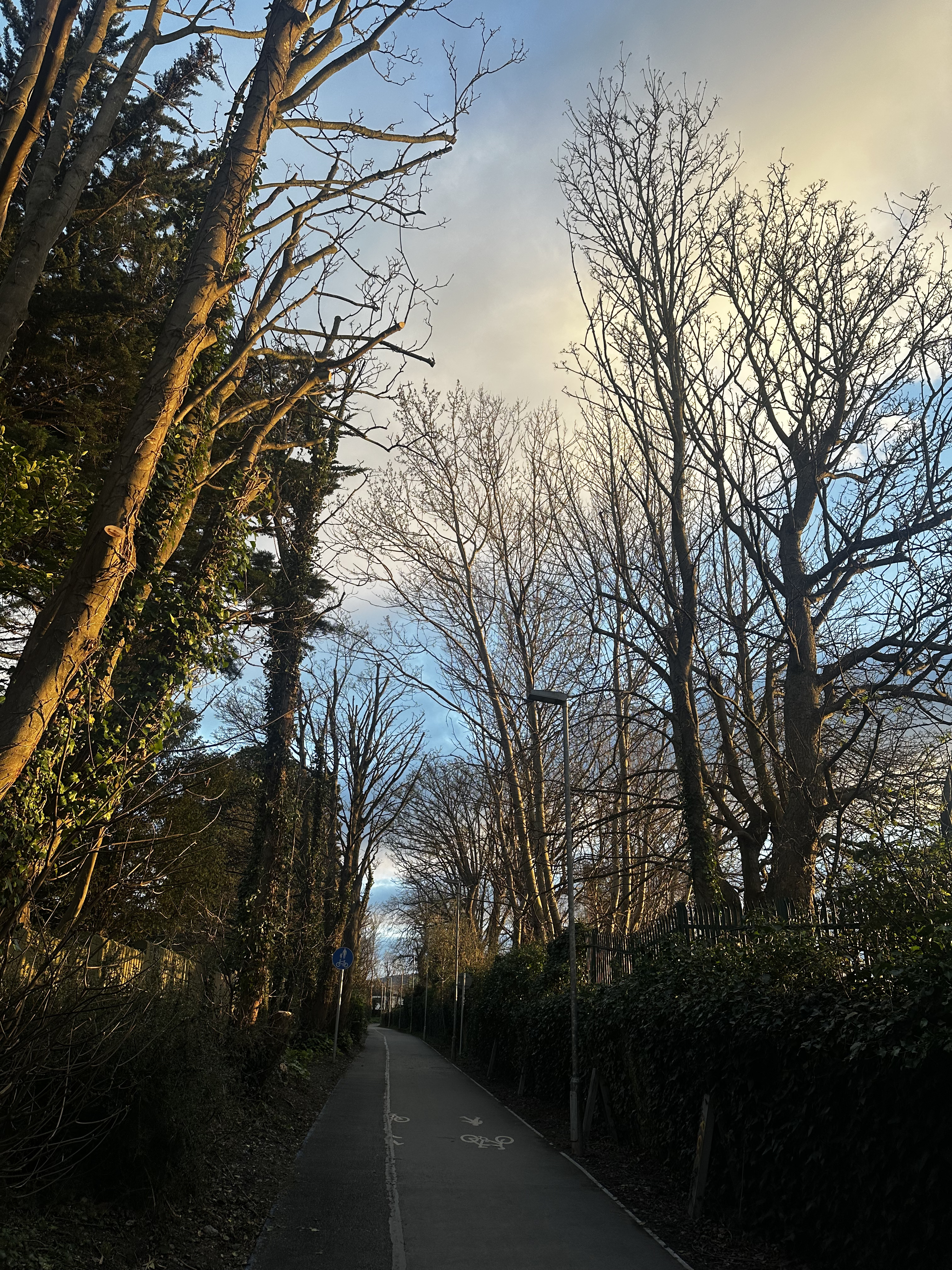 The bike lane I take every morning.